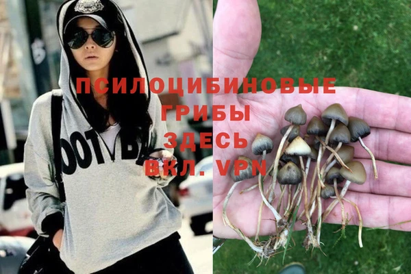дживик Абдулино