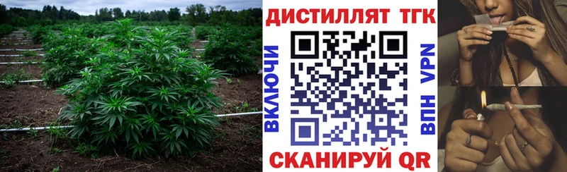 купить наркотик  Берёзовка  ТГК жижа 
